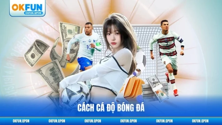 Cách cá độ bóng đá